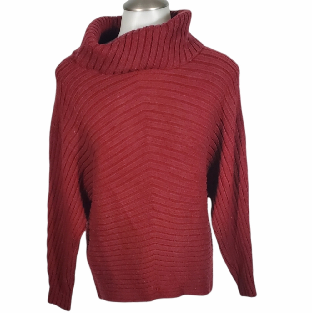 PHILOSOPHY Ovrsizd Turtleneck Batwing Sweater Sz S